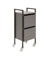 Trolley salon